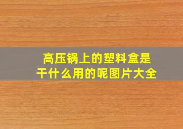 高压锅上的塑料盒是干什么用的呢图片大全