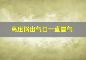 高压锅出气口一直冒气