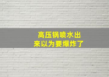 高压锅喷水出来以为要爆炸了