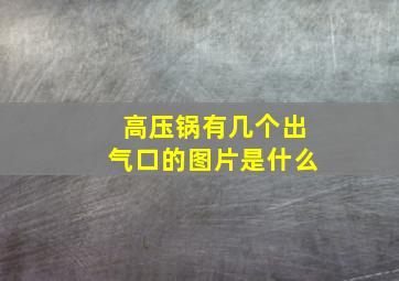 高压锅有几个出气口的图片是什么