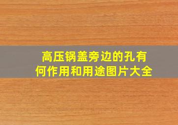 高压锅盖旁边的孔有何作用和用途图片大全