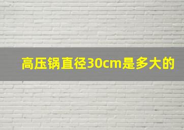 高压锅直径30cm是多大的