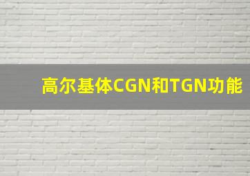 高尔基体CGN和TGN功能