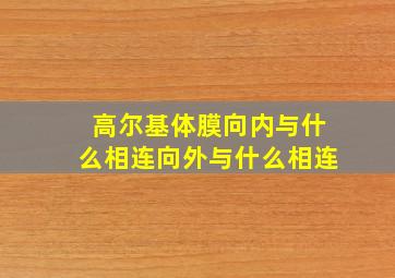 高尔基体膜向内与什么相连向外与什么相连