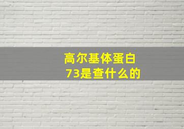 高尔基体蛋白73是查什么的