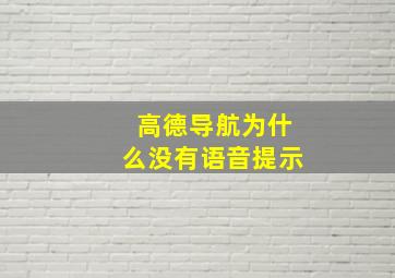 高德导航为什么没有语音提示