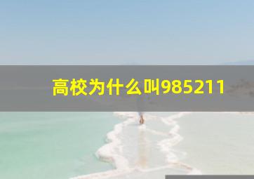 高校为什么叫985211