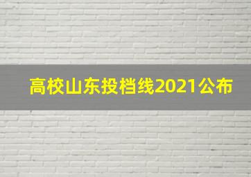 高校山东投档线2021公布