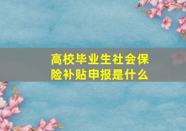 高校毕业生社会保险补贴申报是什么