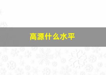 高源什么水平