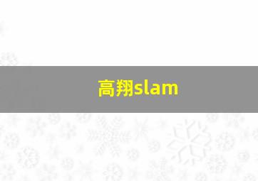 高翔slam