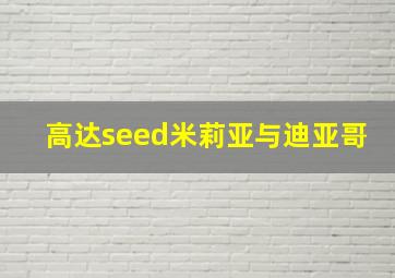 高达seed米莉亚与迪亚哥