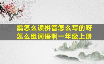 鬃怎么读拼音怎么写的呀怎么组词语啊一年级上册