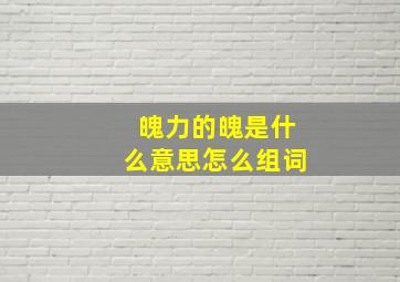 魄力的魄是什么意思怎么组词