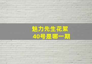 魅力先生花絮40号是哪一期