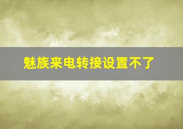 魅族来电转接设置不了