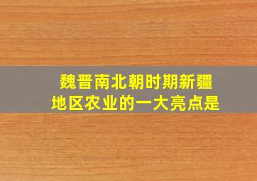 魏晋南北朝时期新疆地区农业的一大亮点是