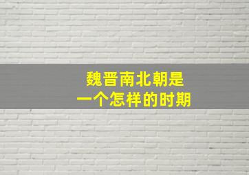 魏晋南北朝是一个怎样的时期