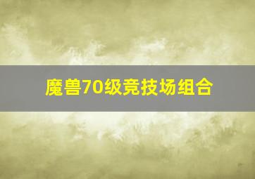 魔兽70级竞技场组合