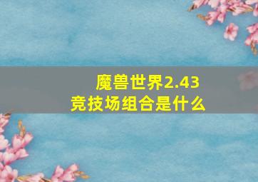 魔兽世界2.43竞技场组合是什么