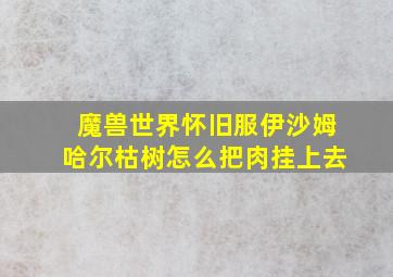 魔兽世界怀旧服伊沙姆哈尔枯树怎么把肉挂上去