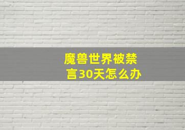 魔兽世界被禁言30天怎么办