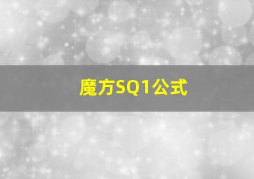 魔方SQ1公式