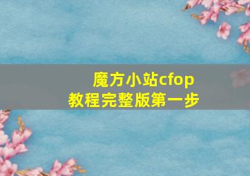 魔方小站cfop教程完整版第一步