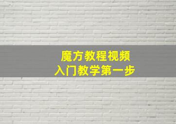 魔方教程视频入门教学第一步