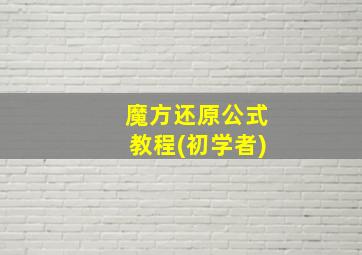 魔方还原公式教程(初学者)