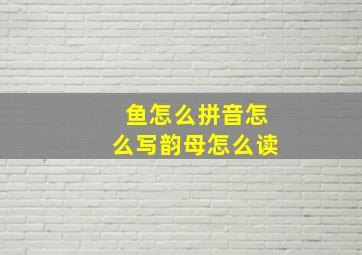 鱼怎么拼音怎么写韵母怎么读