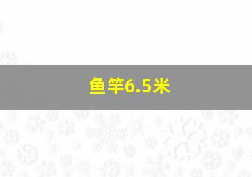 鱼竿6.5米