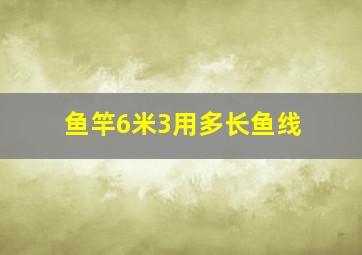 鱼竿6米3用多长鱼线