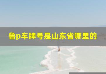 鲁p车牌号是山东省哪里的