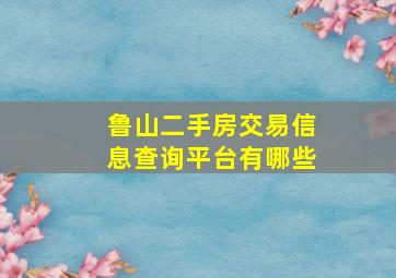 鲁山二手房交易信息查询平台有哪些