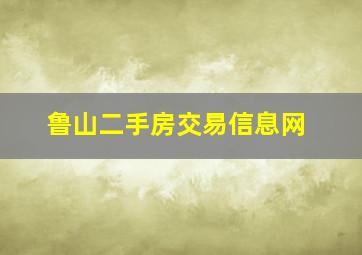 鲁山二手房交易信息网