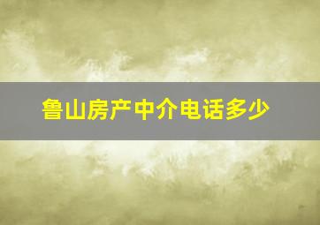 鲁山房产中介电话多少