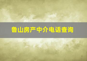 鲁山房产中介电话查询