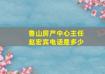 鲁山房产中心主任赵宏宾电话是多少