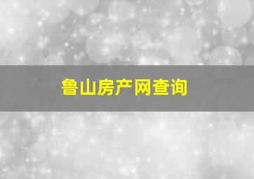 鲁山房产网查询