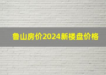 鲁山房价2024新楼盘价格