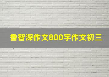 鲁智深作文800字作文初三