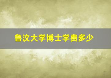 鲁汶大学博士学费多少