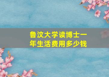 鲁汶大学读博士一年生活费用多少钱