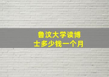 鲁汶大学读博士多少钱一个月