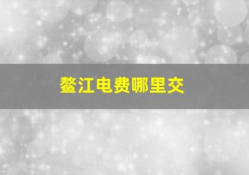 鳌江电费哪里交