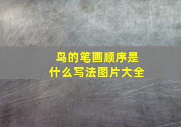 鸟的笔画顺序是什么写法图片大全