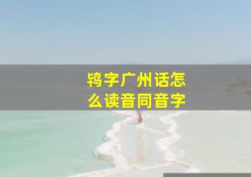 鸨字广州话怎么读音同音字