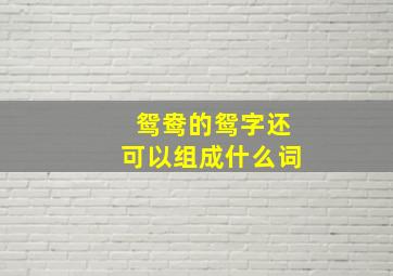 鸳鸯的鸳字还可以组成什么词