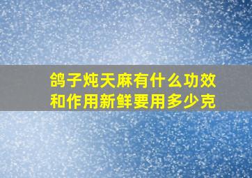 鸽子炖天麻有什么功效和作用新鲜要用多少克